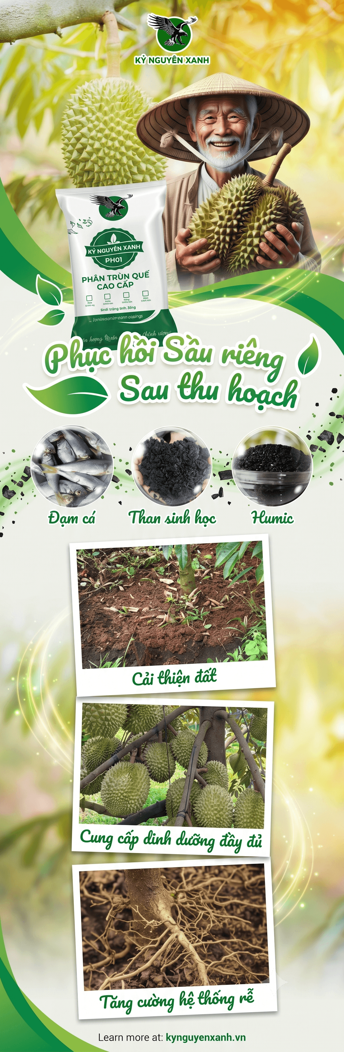 Sầu Riêng Hà Nội Ship Nhanh